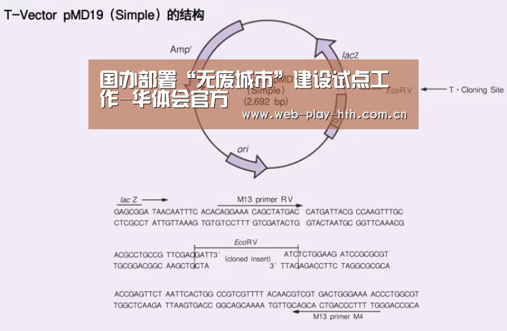 国办部署“无废城市”建设试点工作-华体会官方(图2) 华体会官网