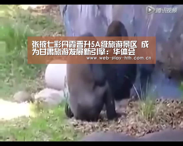 张掖七彩丹霞晋升5A级旅游景区 成为甘肃旅游发展新引擎:华体会(图4) 华体会登录